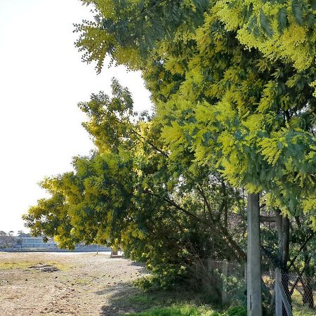 B&B Mob Mimizan On The Beach 외부 사진