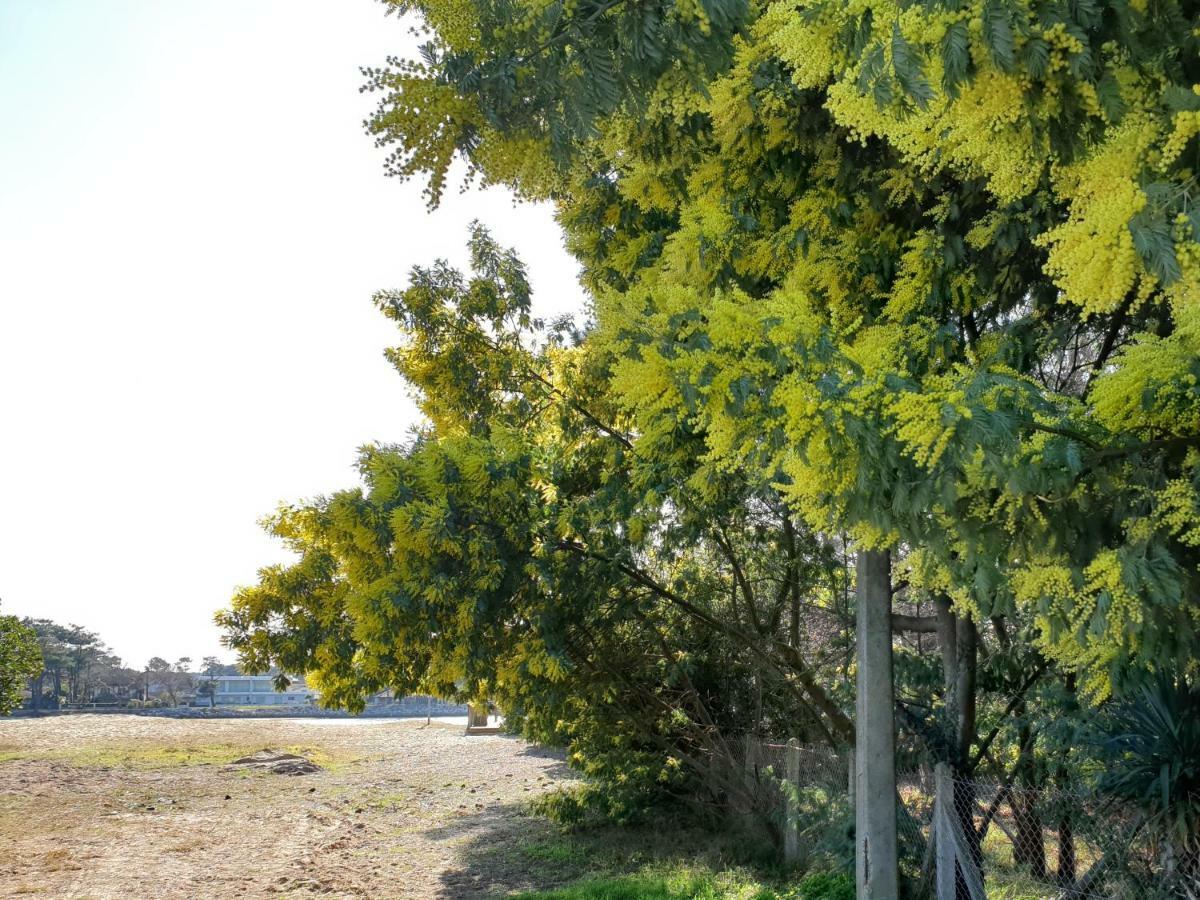 B&B Mob Mimizan On The Beach 외부 사진